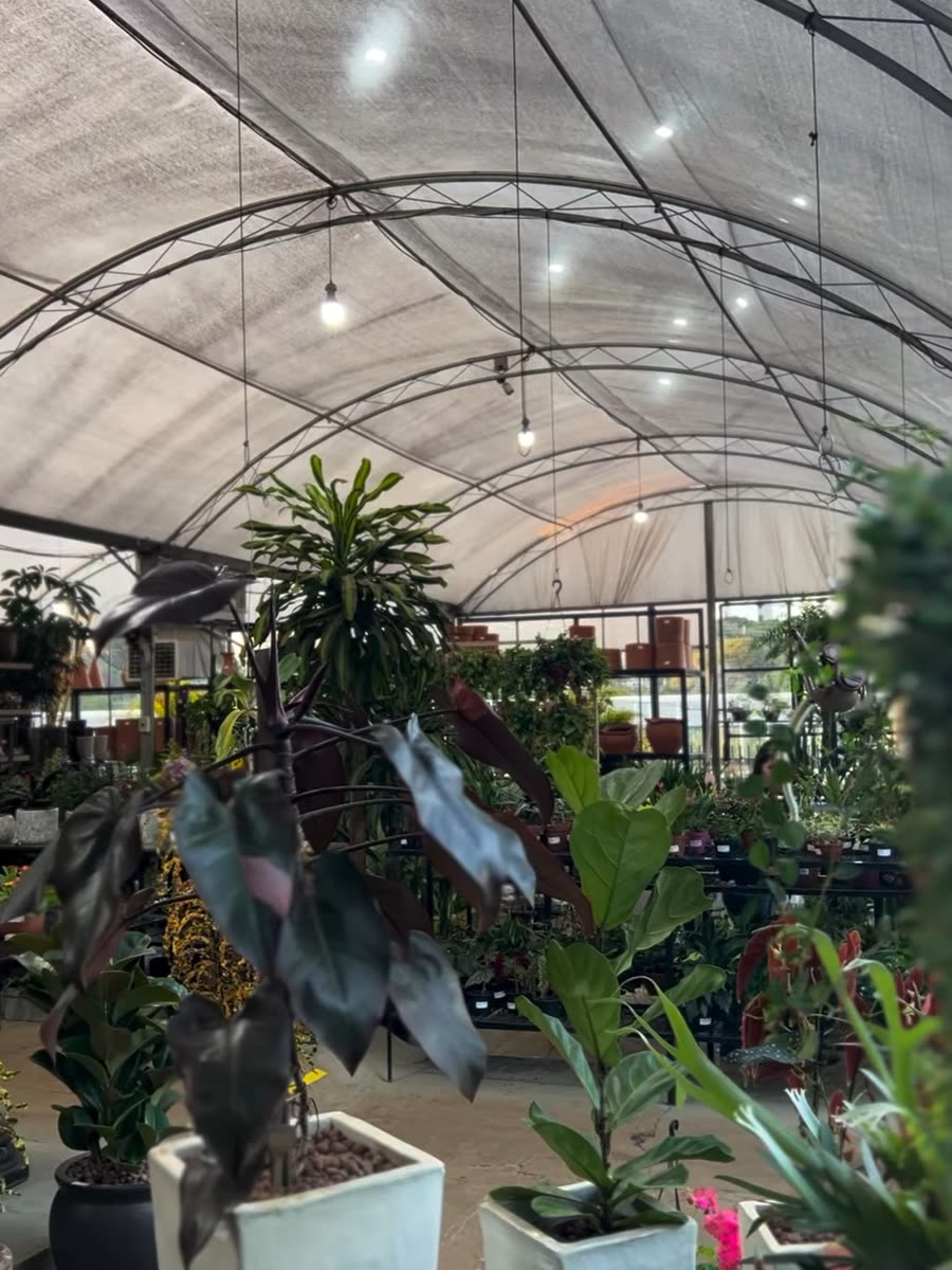 Estufa da Oriental Garden com arcos e plantas em vasos