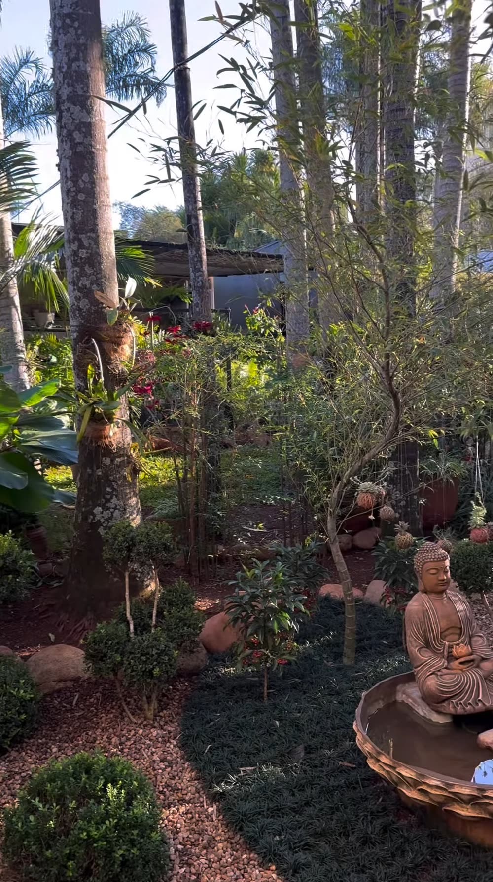 Jardim com palmeiras, arbustos podados e uma fonte com estátua de Buda